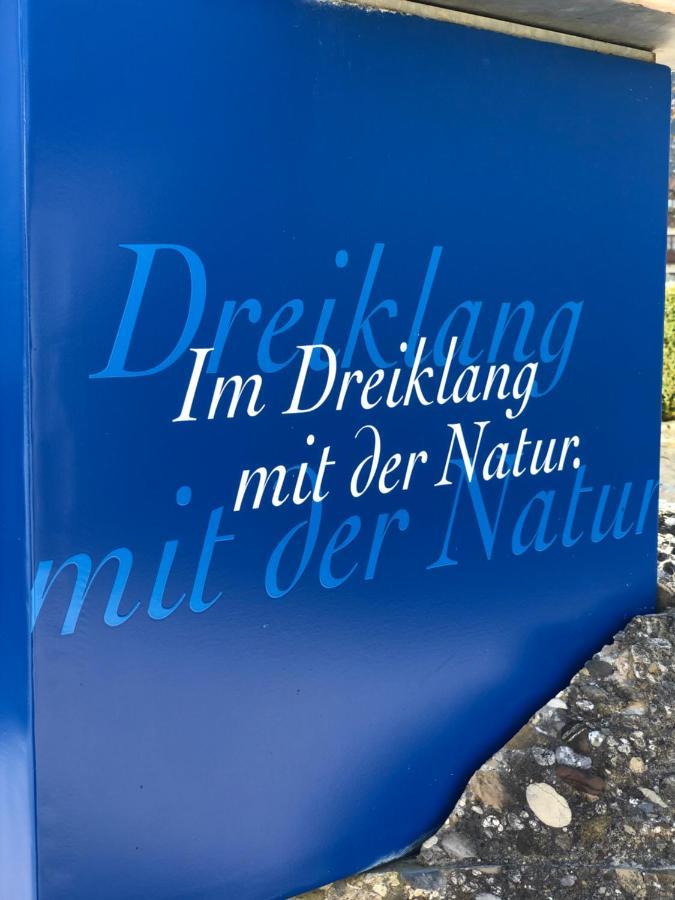 Vitallgaeu-Neues Studio Mit Koenigscard Pfronten Luaran gambar